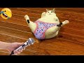 Essayer De Ne Pas Rire Animaux Vidéos De Chats Drôles À Mourir De Rire 91