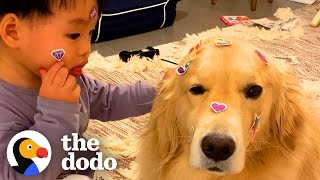 Boy Grows Up With Golden Retriever And Corgi | The Dodo by The Dodo