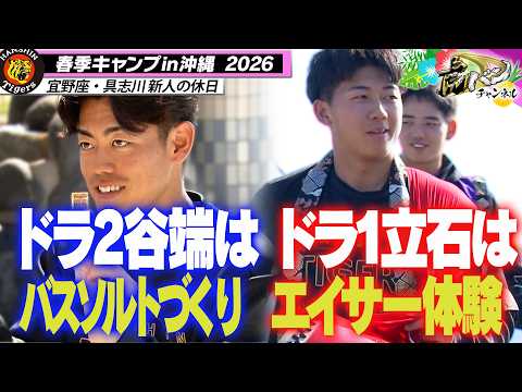 【ルーキーの初休日】春季キャンプ初の休日！エイサー体験・バスソルトづくりで沖縄文化を学ぶ！！阪神タイガース密着！応援番組「虎バン」ABCテレビ公式チャンネル