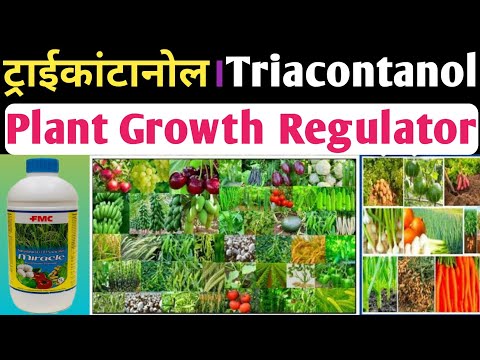 1 Litre Triacontanol EW  0.1% Min Plant Growth Promoter