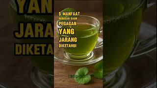 Download lagu 5 Manfaat Minum Rebusan Daun Pegagan mp3 Download lagu 5 Manfaat Minum Rebusan Daun Pegagan mp3