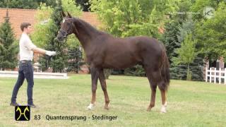 Quattroporte, nouvelle recrue pour Fabienne Lütkemeier