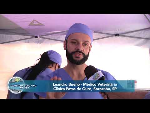 OURO FINO BOLETIM DA SEMANA 400 - 8 DE JULHO DE 2018