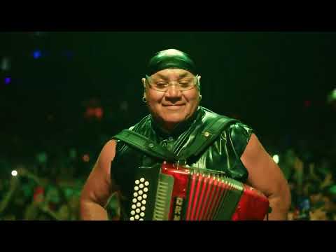 Luis Ornelas el mago del acordeon Exitos