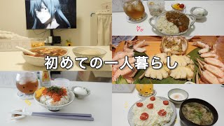 【同棲解消後初めての一人暮らし】いくら丼🐟｜カレーライス🍛｜つけそうめん🍅｜冷や汁🥒