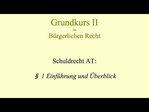 01.  Allgemeines Schuldrecht I - Einführung 1
