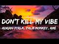 Adrian Fyrla, Palm Monkey, Amè - DON'T KILL MY VIBE (Lyrics)