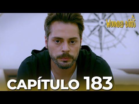 Omer Stolen Dreams | Chapter 183