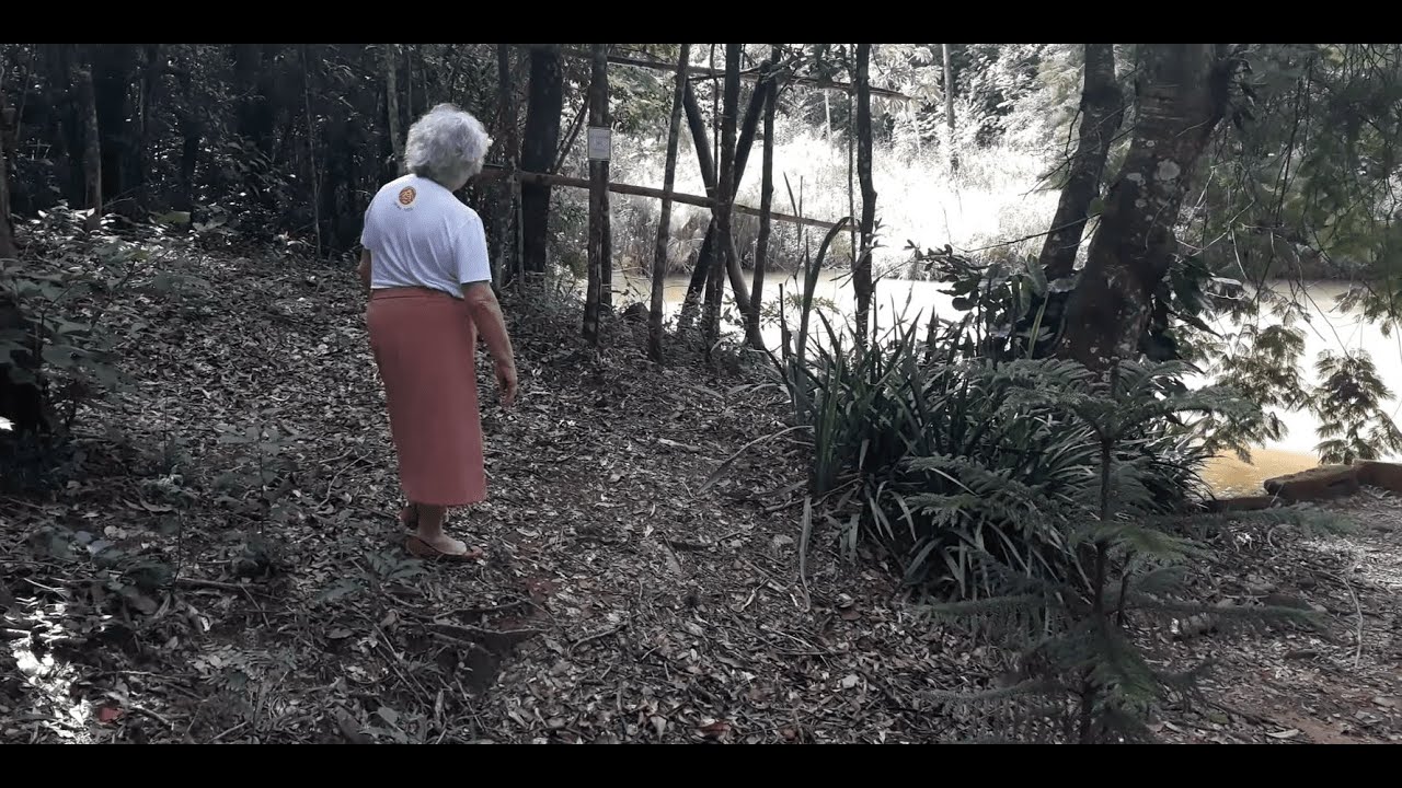 Os ciclos da vida e o espírito jovem