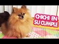CHICHI EN SU CUMPLE
