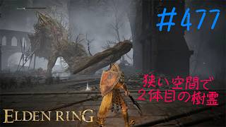 ♯477【今さら初見のELDEN RING】影の城は爛れた樹霊が不憫なくらい安全地帯だらけだけれど、何体いるか分からないからチャラでいいよね