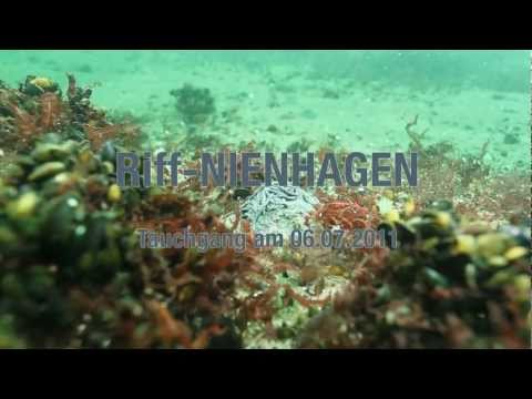 Riff-Nienhagen