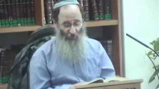 15215-2 על שמות העופות