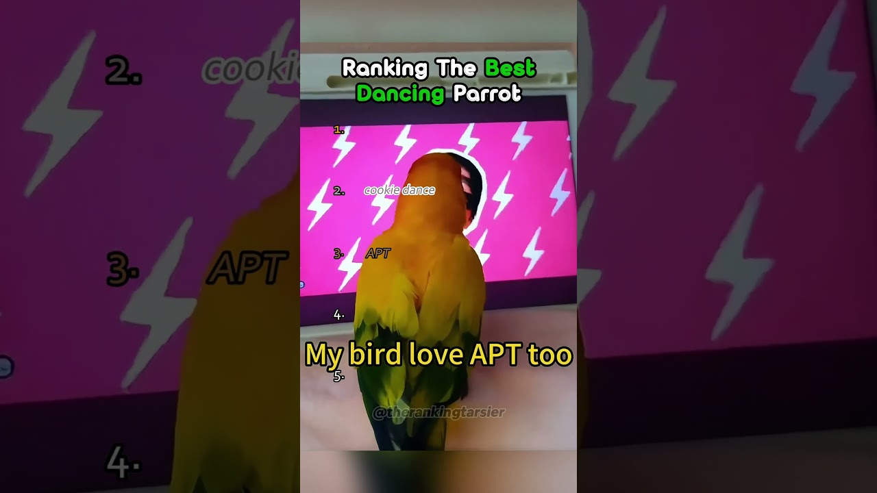 Ranking The Best Dancing Parrot #ranking #dancing #parrot