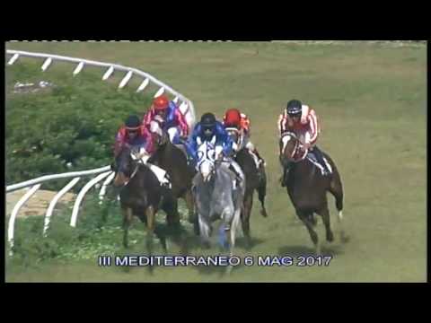 Galoppo Corse del 6 Maggio 2017