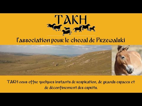 , title : 'Respirez avec TAKH, association pour le cheval de Przewalski'