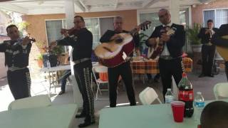 Las alteñitas  mariachi guadalajara 3239018618