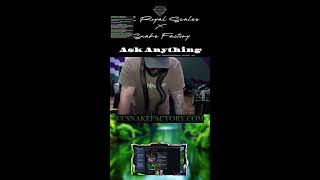 Snake Q&A