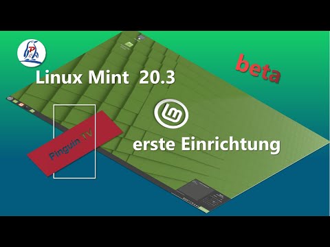 Linux Mint 20 3 beta einrichten