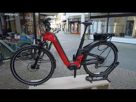 E-Bikes 2023: SIMPLON CHENOA MAX TR UNI Trekking MTB Bosch Performance Line CX