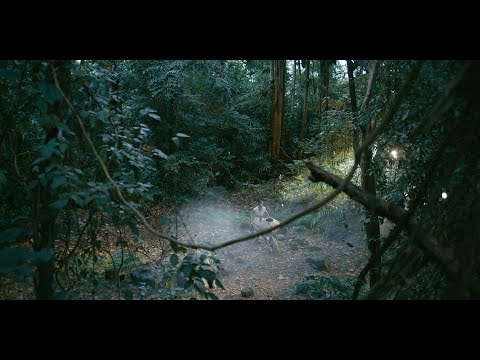 MUNCHEE SAYOGA TVC Director's Cut