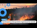 Dit jaar al duizenden bosbranden in de Amazone