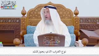 264 - نوع الغراب الذي يجوز قتله - عثمان الخميس