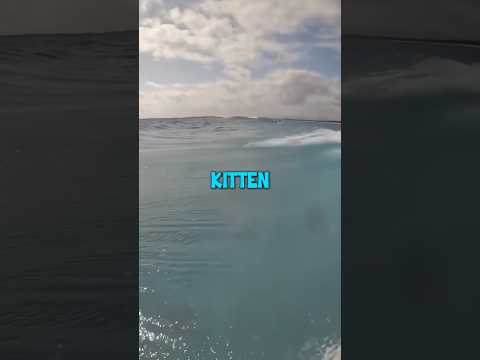 DONT CHECK THE SOUND 😭😭