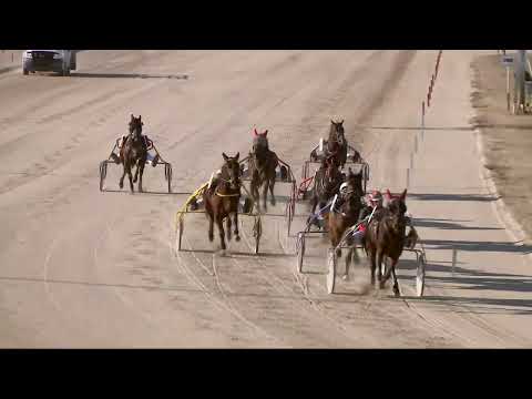 2022.02.05. 01. futam - KISKARCSI DÍJ