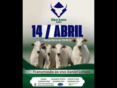 São Luis de Montes Belos - GO   14/04/2026