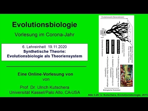 Synthetische Theorie: Evolutionsbiologie als Theoriensystem