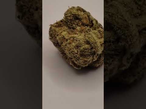 BUDBUDBUD - CHOCOLATE KUSH