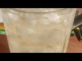 Half Of Glass Of Iced Lipton Green Tea ASMR
