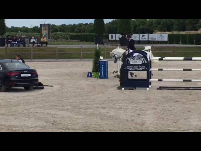 Half-brother of Cosmic Blue is the Grand Prix 1.60m horse Chilli B with rider Alexander Buler.