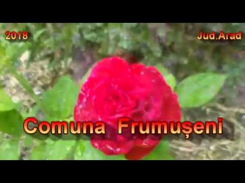 Frumușeni 2018