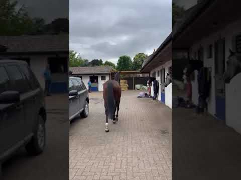 Video 1