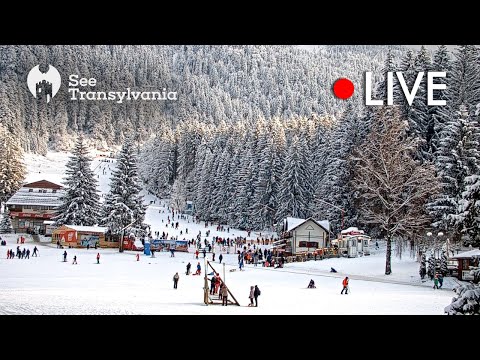 Ka-Ma Sport 🔴 Poiana Brasov Live Webcam - Partia Bradul