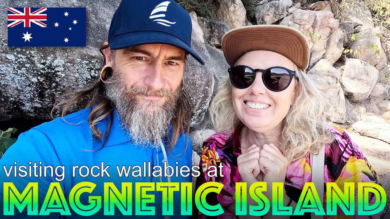Visiting Magnetic Island's Rock Wallabies & Find Amazing Hot Water Showers on Dunk Island