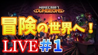 【Minecraft Dungeons】マイクラの新しい世界をプレイしていく！【＃1】