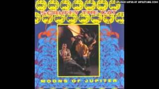 Scruffy the Cat - Moons of Jupiter