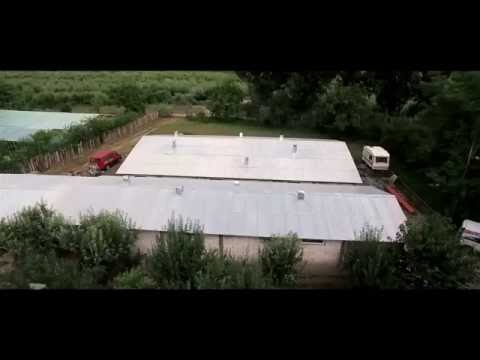 Ferma din curte - Pasari de curte Bio