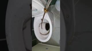 Bursa Petek Temizleme  - Bursa Petek Temizliği - Prestij Kombi Telefon: 0535 937