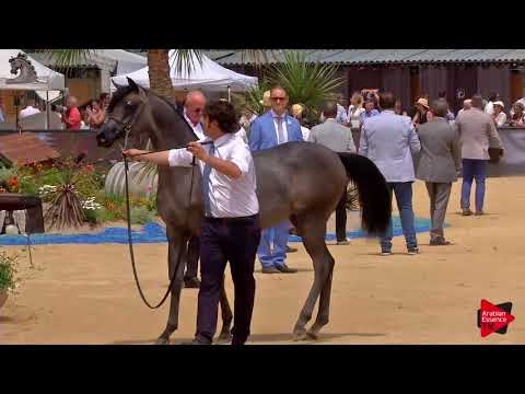 Menton 2018 - Class 1A