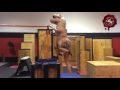 Jurassic Parkour FRONT Magazine