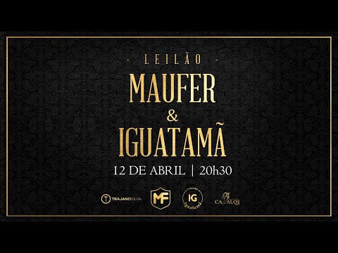 LOTE  03 PLATA Y ORO 2050 MAUFER