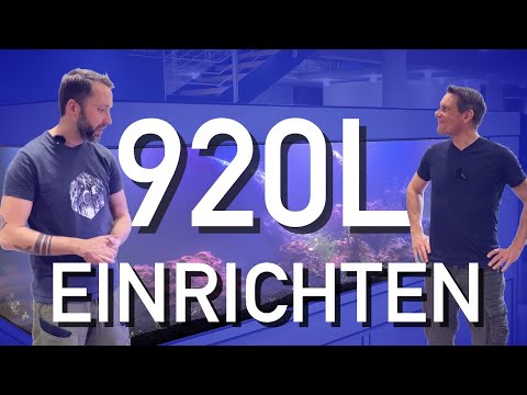 200x80x60 Süßwasseraquarium wird EINGERICHTET
