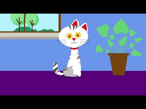 Hill's Science Plan Sterilised Cat