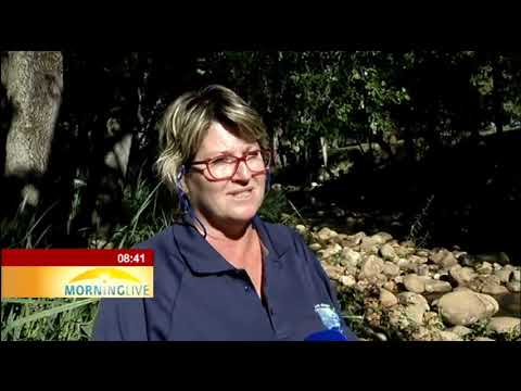 Water quality, health of Eerste River in Stellebosch not what it used to be