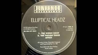 Elliptical Headz ‎– Topical Theory