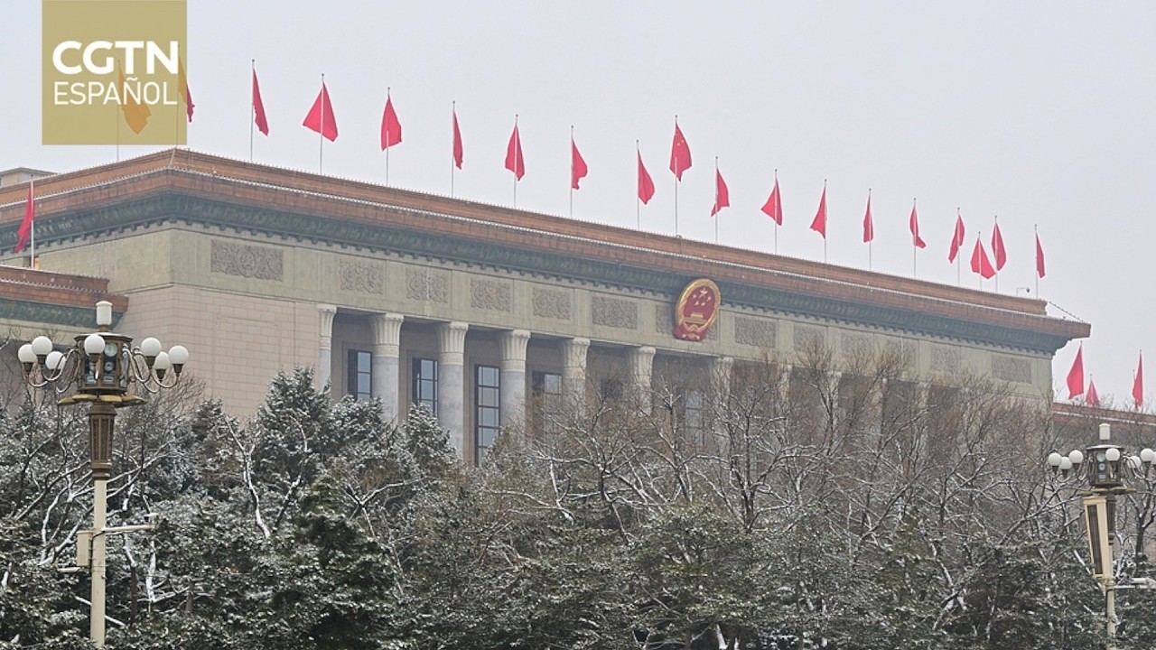 Un académico brasileño destaca la importancia de la transición verde en China